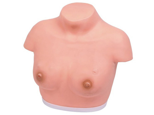 高級乳腺視診與觸診模型