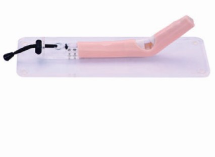 肌腱修復訓練模型