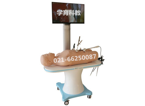 腹腔鏡手術技能訓練人體模型