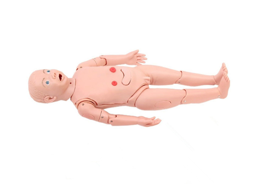小兒灌腸模型