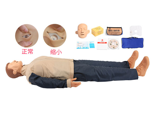 簡(jiǎn)易型心肺復(fù)蘇模擬人