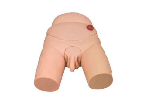 高級男性導尿模型