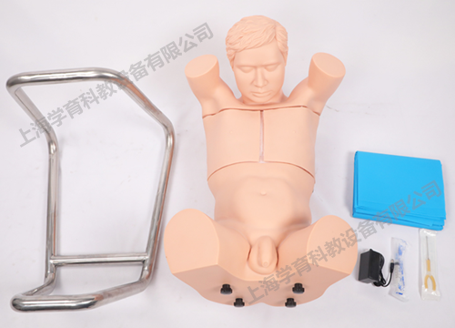 胸腔（背部）穿刺訓練模型