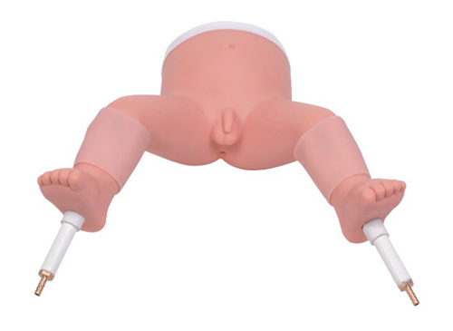 嬰兒骨髓穿刺模型