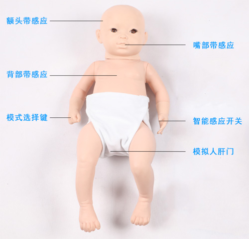 高級智能嬰兒模型