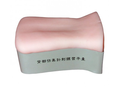 背部仿真針刺練習平臺