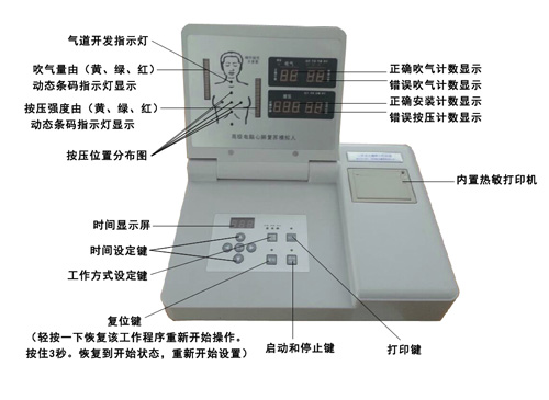 心肺復蘇模擬人模型顯示器