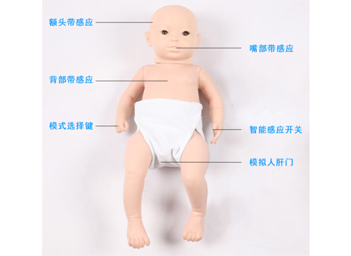 高級智能嬰兒模型