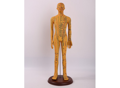 針灸銅人模型60CM