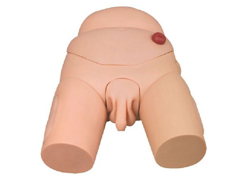 高級男性導尿模型