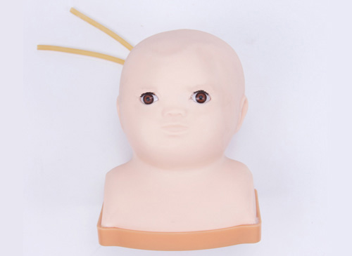 高級嬰兒頭部綜合靜脈穿刺模型
