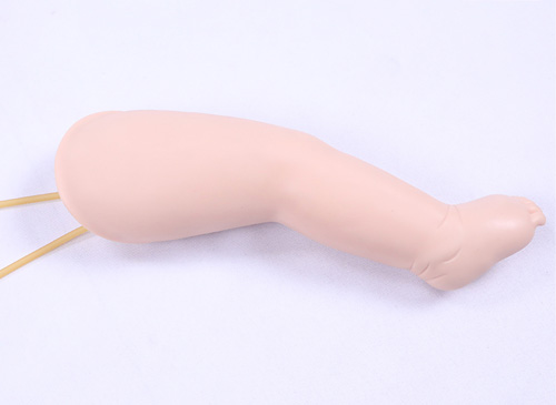 高級嬰兒腿部靜脈穿刺模型