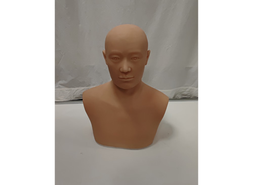 針灸頭部訓(xùn)練模型
