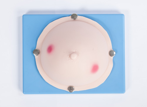 乳腺膿腫檢查操作模型