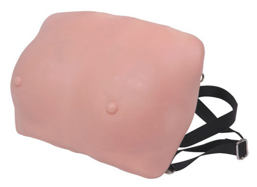 高級乳房檢查模型