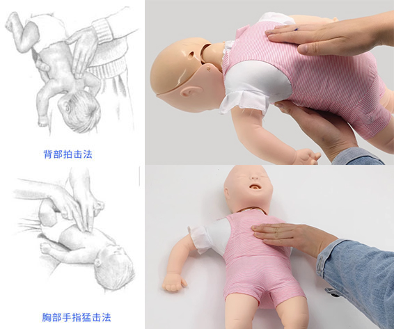 高級嬰兒氣道阻塞及CPR模型