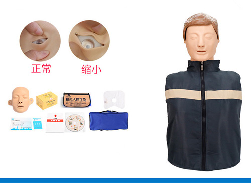 簡易型半身心肺復蘇模擬人